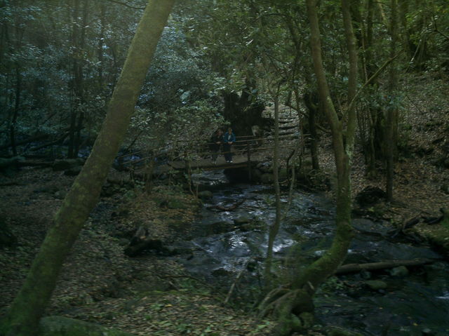 Riachuelo de El Cedro.