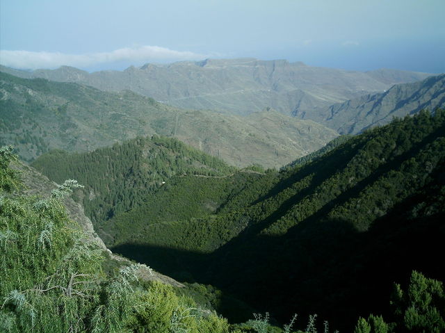 Bajada a La Laja desde el parque nacional de Garajonay.