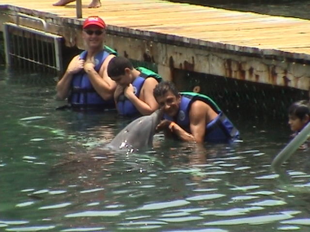 Despedida con los delfines.