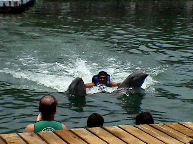 Arrastrado por delfines en México.