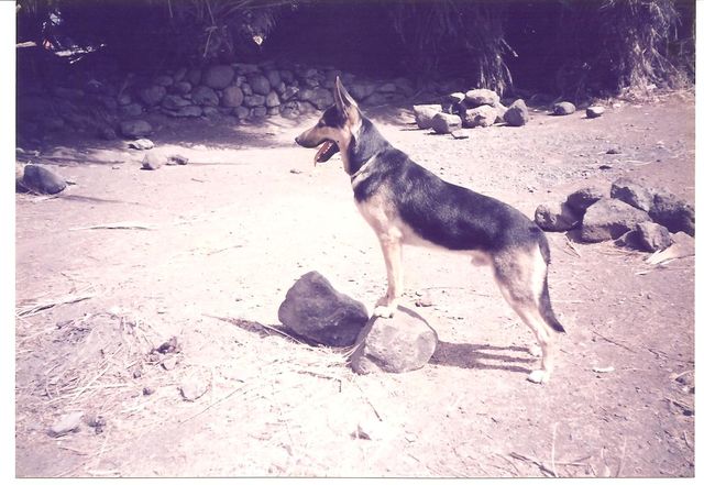 Rayco en su primer cumpleaños.