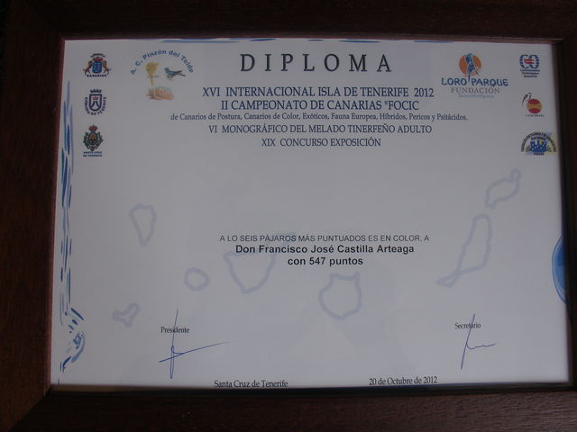 Diploma a los seis pájaros más puntuados en color.