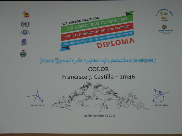 PREMIO ESPECIAL a los 6 pájaros mejor puntuados en color, con un total de 550 puntos.