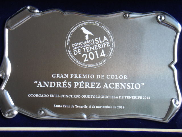 GRAN PREMIO, en honor a D. Andrés Pérez Asencio. Gran criador y excelente persona.