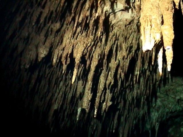 Estalactitas en cenote Taj-Mahal (México.)