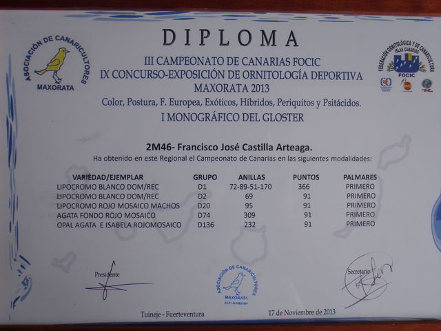 Campeón de Canarias en 5 modalidades.