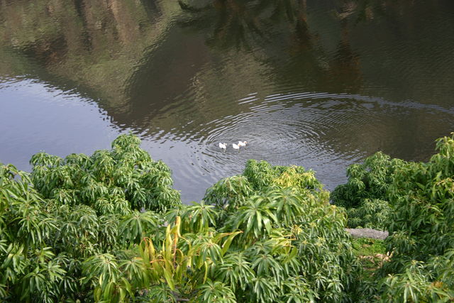 Presa del barranco.